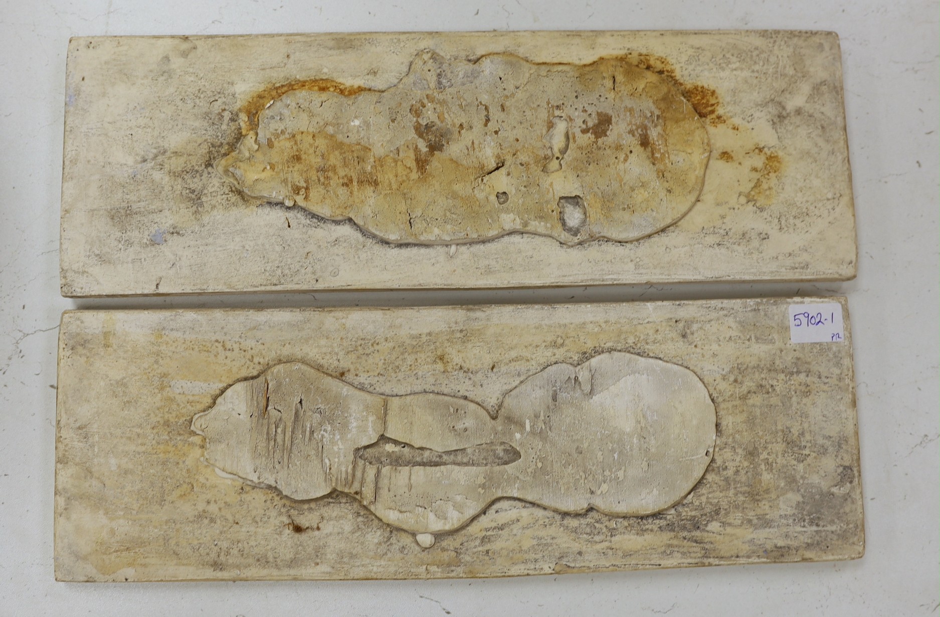 A pair of 19th century blue tinted moulded plaster plaques, imitating Wedgwood jasper ware, 45cms wide x 15 cms